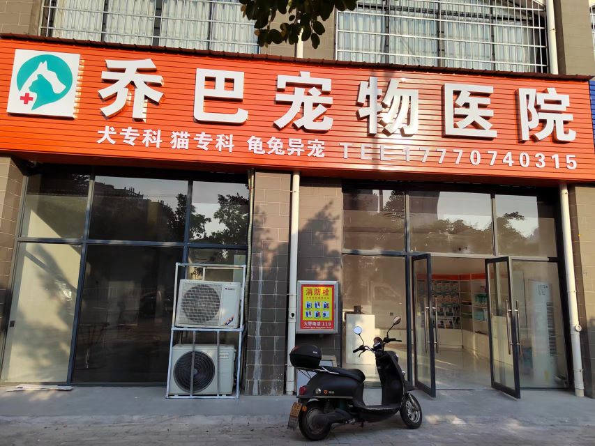 乔巴宠物医院