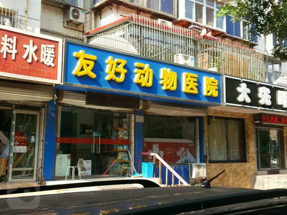 瑞宠信友好动物医院·猫专科·老年病专科