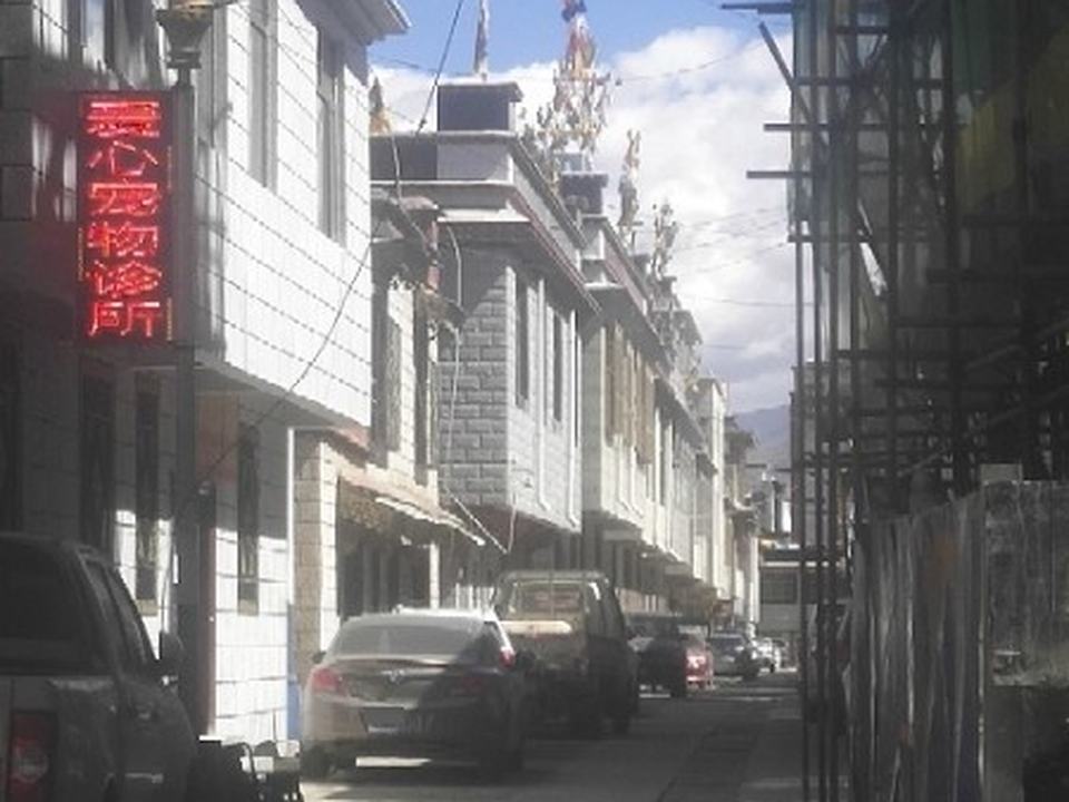 爱心宠物诊所(吉培路店)