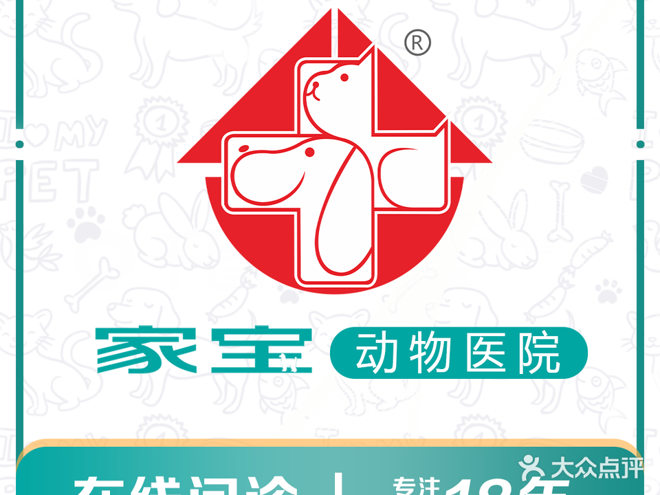 家宝动物医院·骨科·心脏·内窥镜