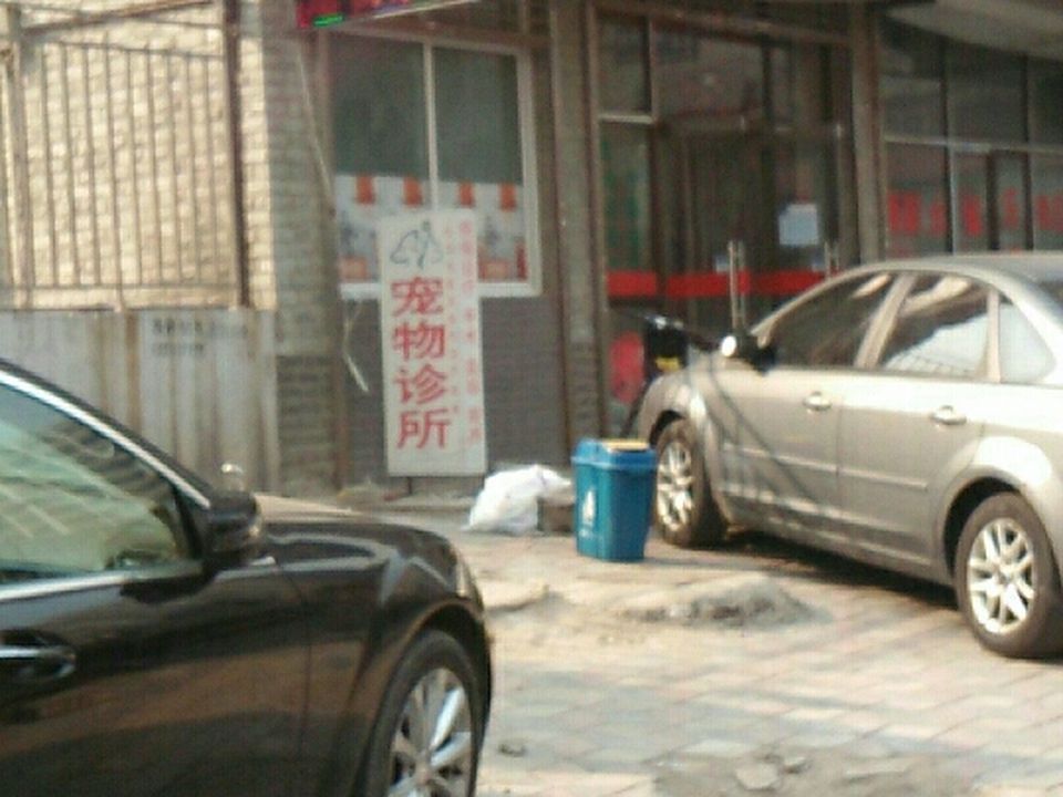 关爱宠物诊所(槐源路店)