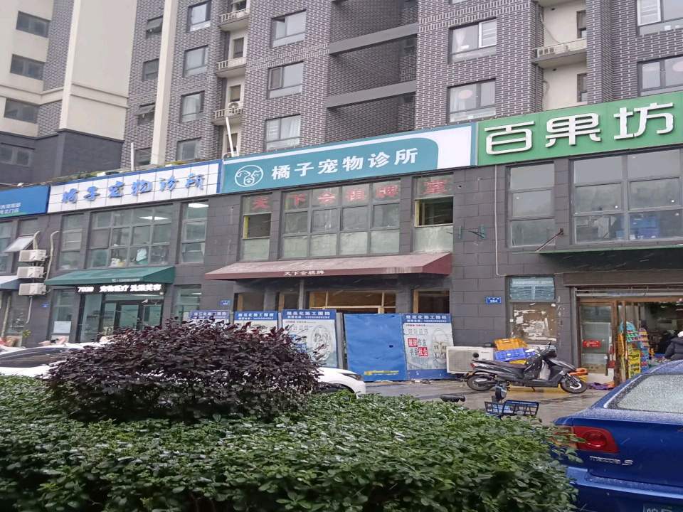 橘子宠物诊所