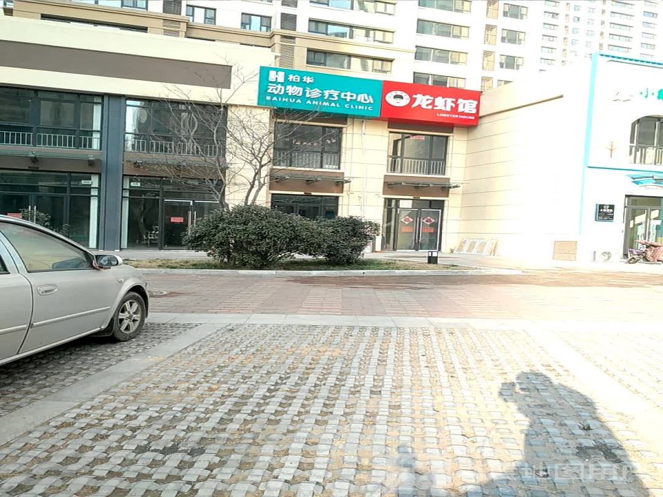 柏华宠物医院·犬猫内科·影像科