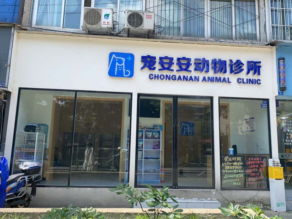 宠安安动物诊所
