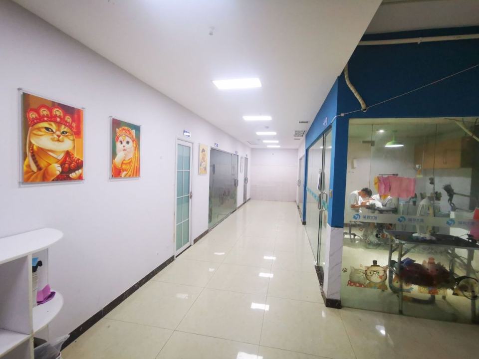喵狗太医动物医院·猫科·异宠专科·骨科·24小时