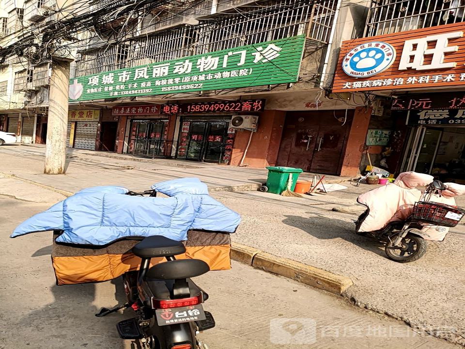 项城市凤丽动物门诊