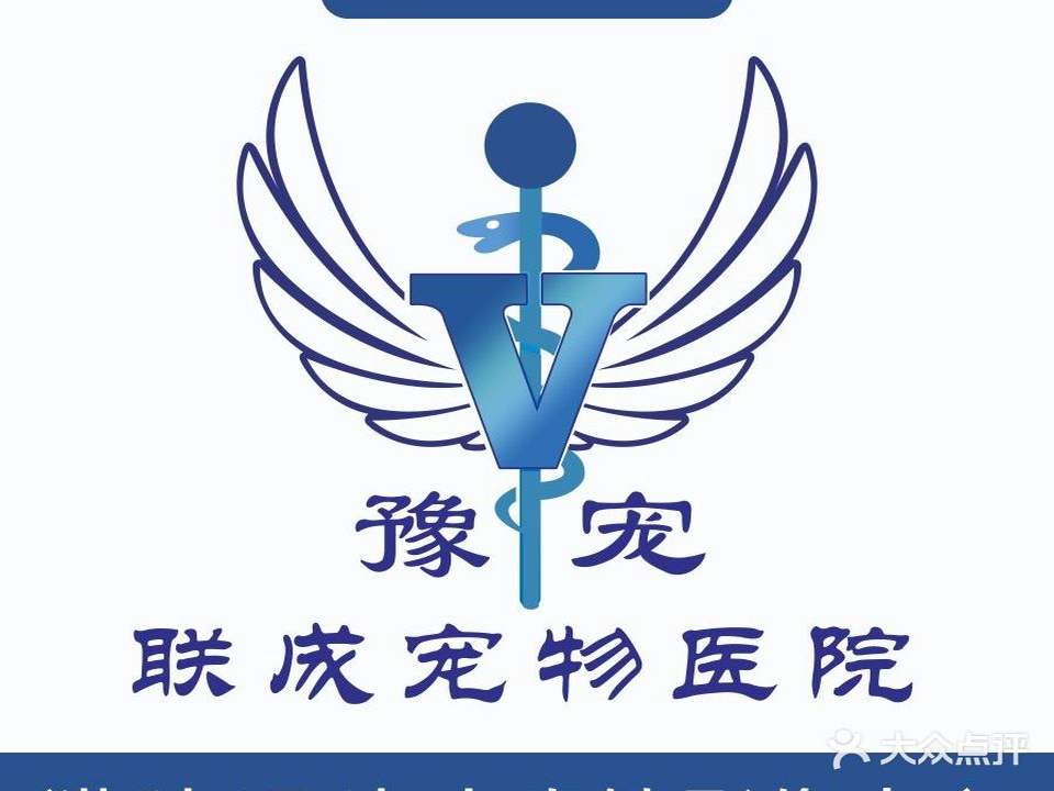 豫宠联城宠物医院·猫科·眼科·内窥镜影像中心(东城区店)