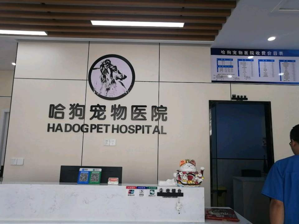 哈狗宠物医院