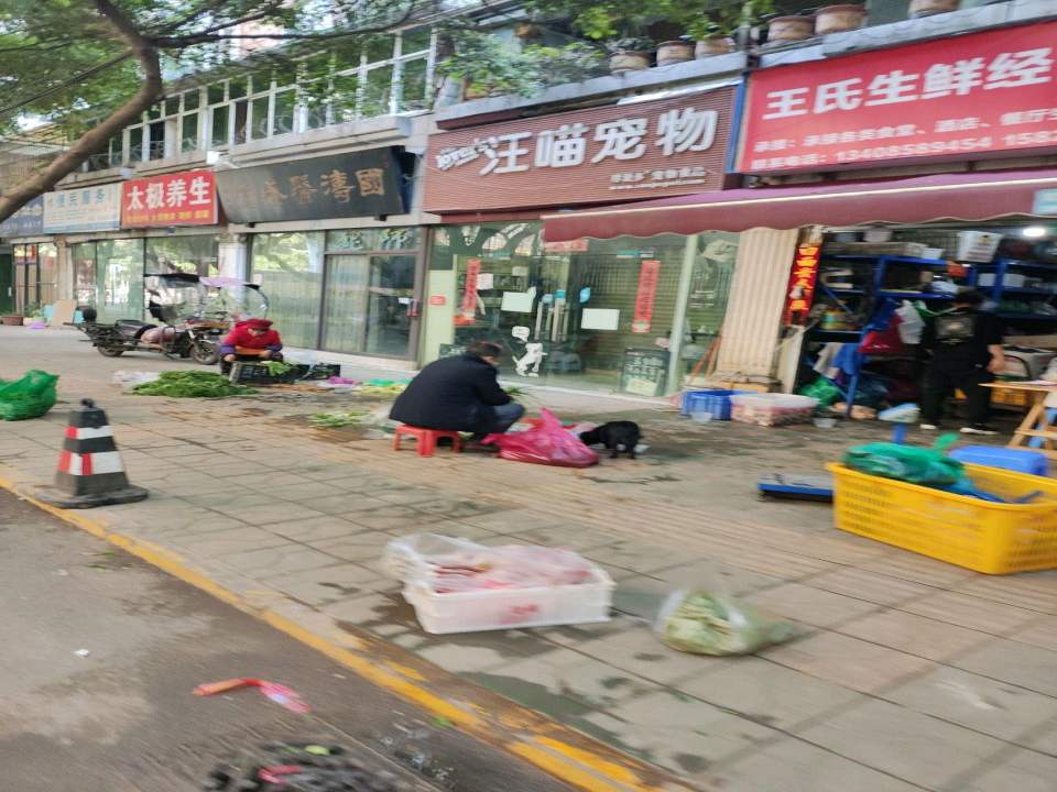 汪喵宠物(芳沁街店)