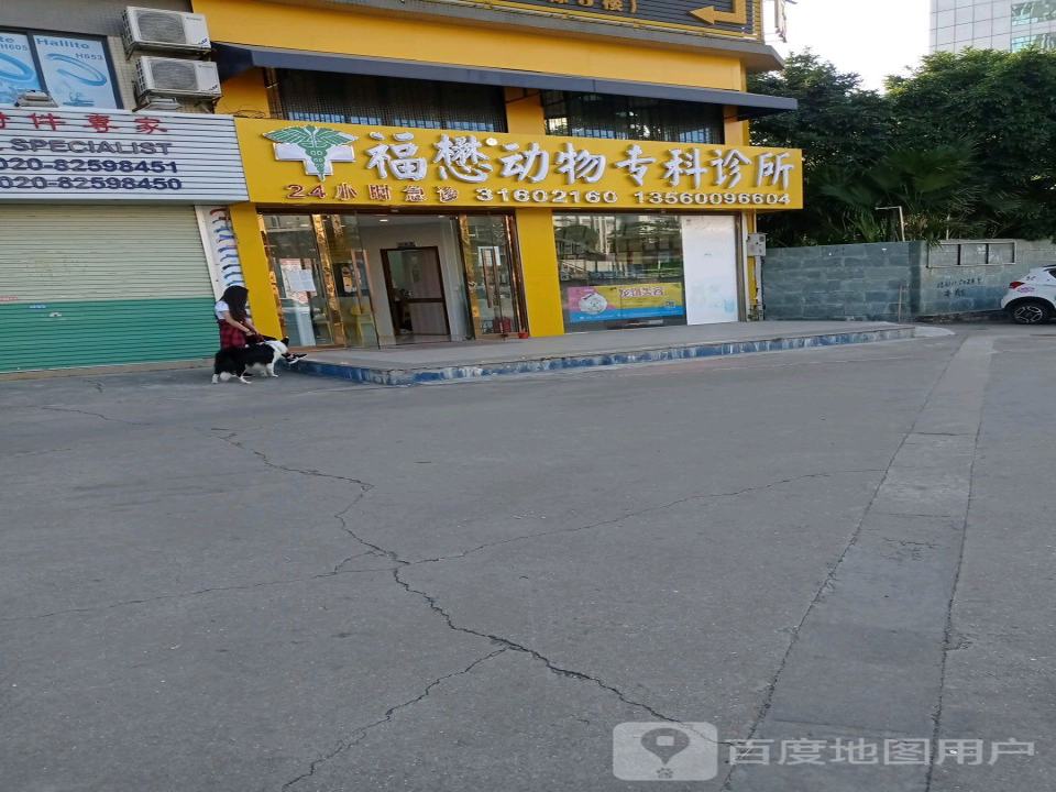 福懋動物醫院·犬猫外科(24h珠村分院)