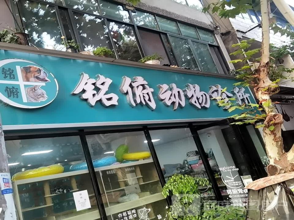 铭俯动物诊所