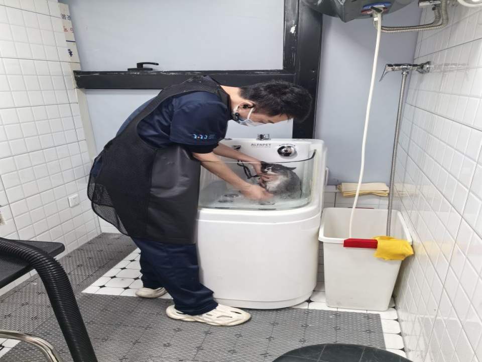 怡友佳动物医院·猫友好·中兽医理疗康复中心(土桥店)