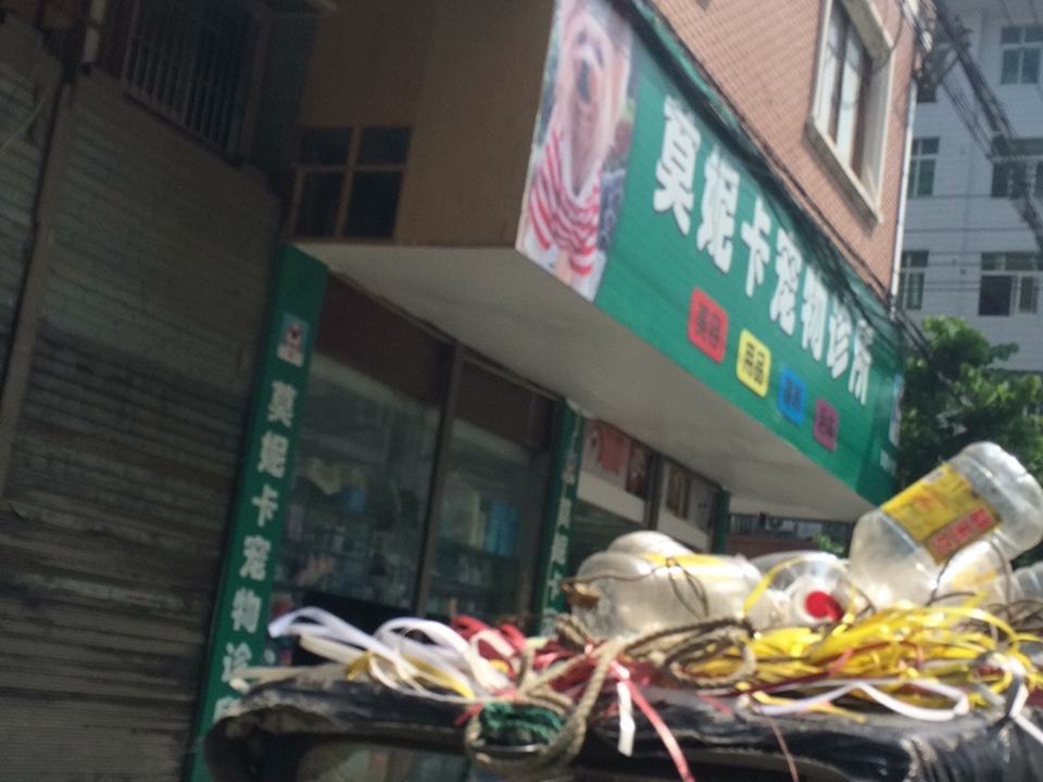 莫妮卡宠物诊所