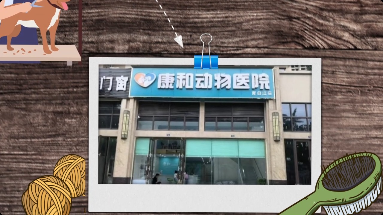 康和动物医院·犬猫专科·骨科(青白江店)