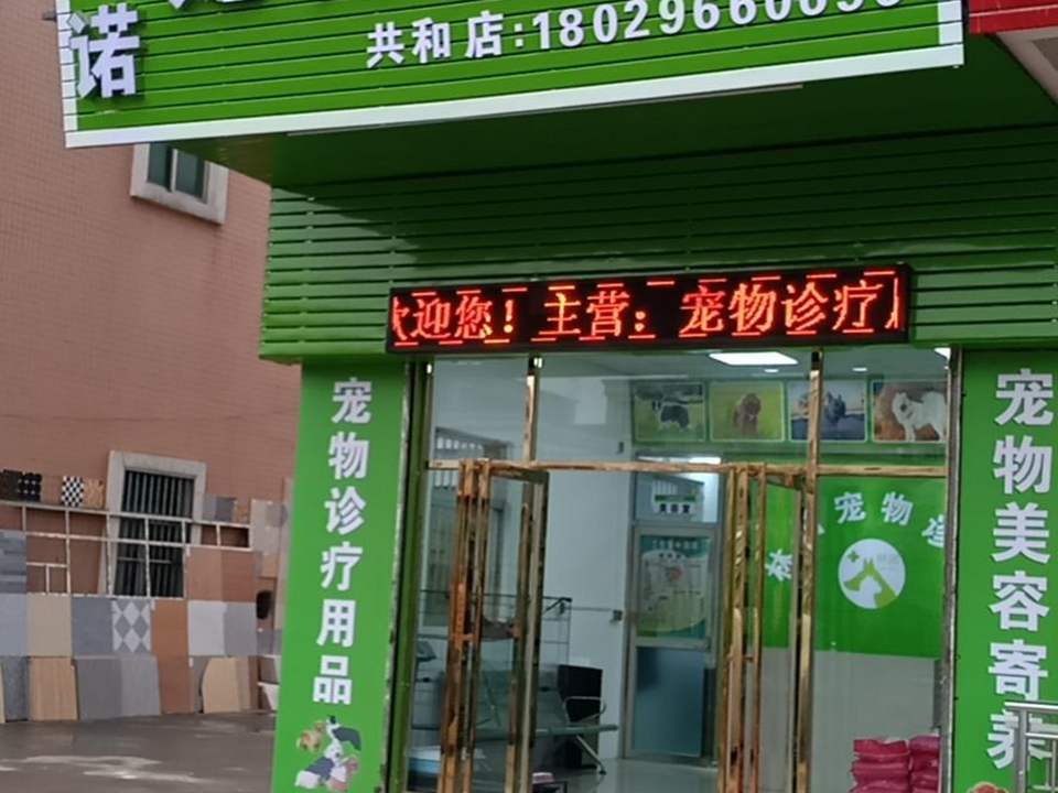 林诺宠物诊所(共和店)