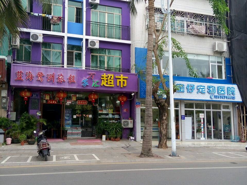 宝仔宠物医院