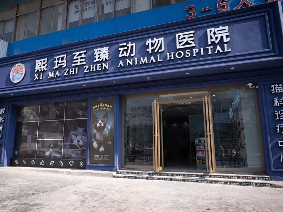 湖南熙玛至臻动物医院·MRI核磁·CT影像·ISFM国际猫友好·疑难眼科
