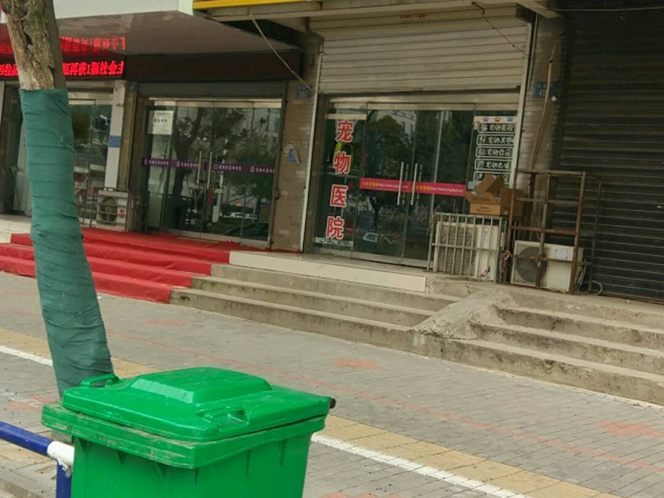 天使宠物医院(兴业街店)