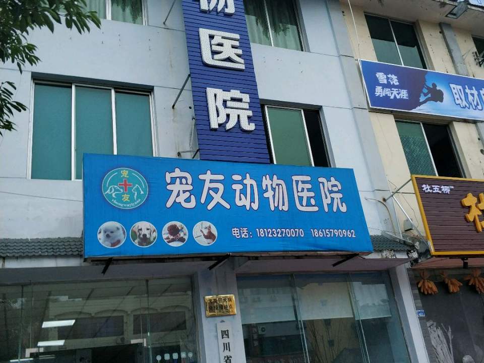 宠友动物医院