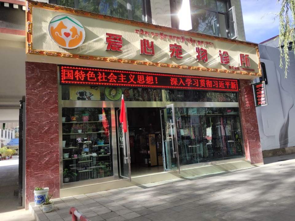 爱心宠物诊所(吉培路店)