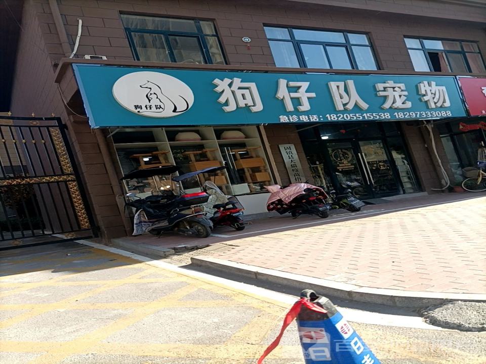 狗仔队宠物馆(大营路店)