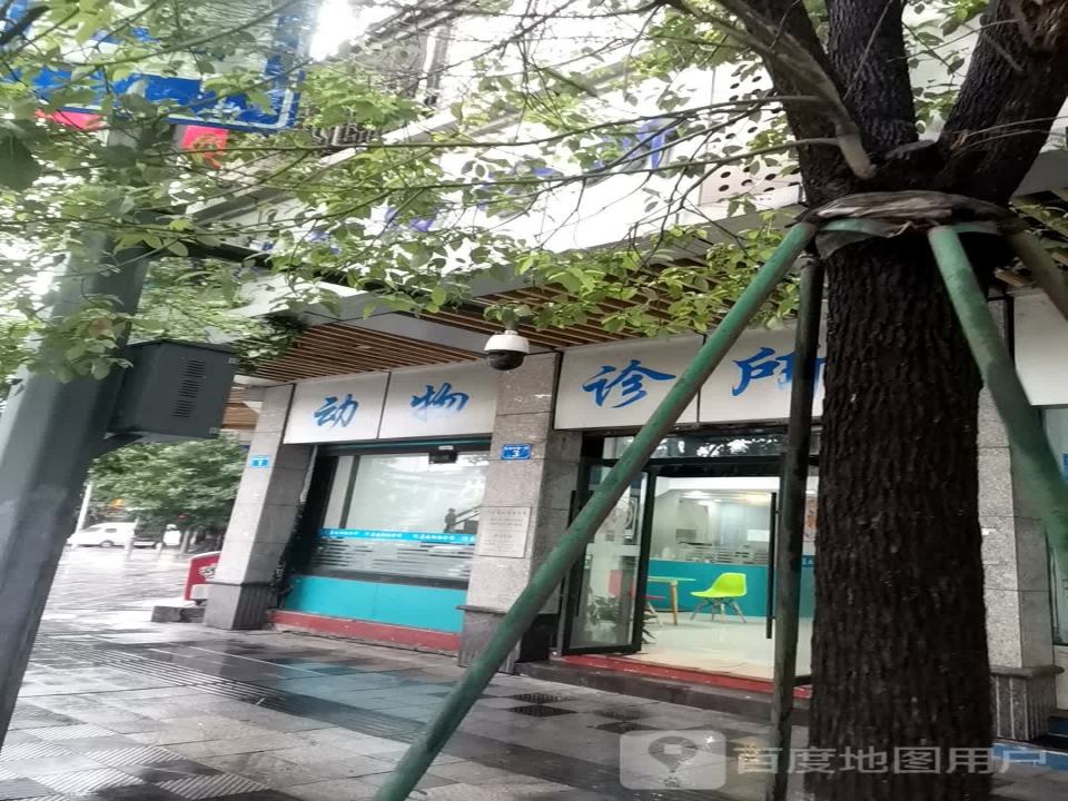 南充蓝地动物诊所