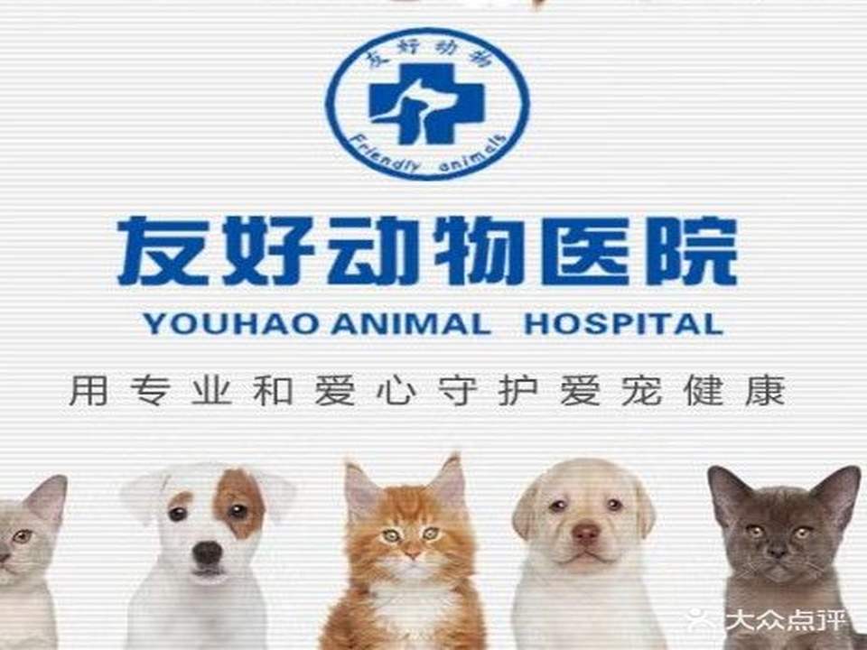 瑞宠信友好动物医院·猫专科·老年病专科