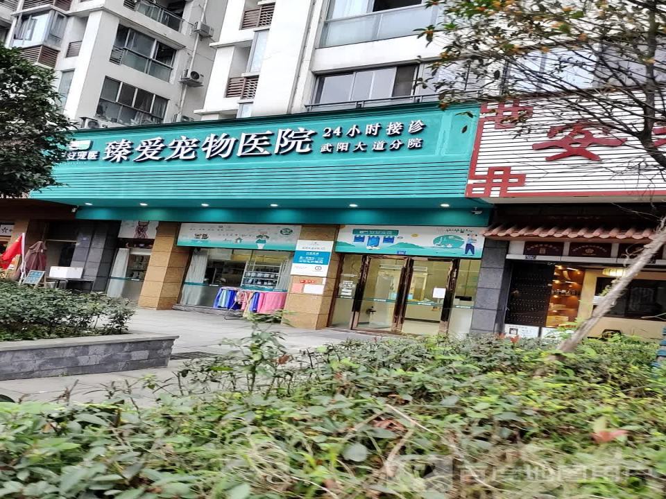 安安宠物医院(武阳大道分院)