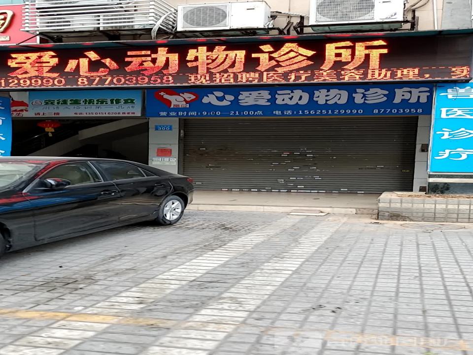 心爱宠物医院