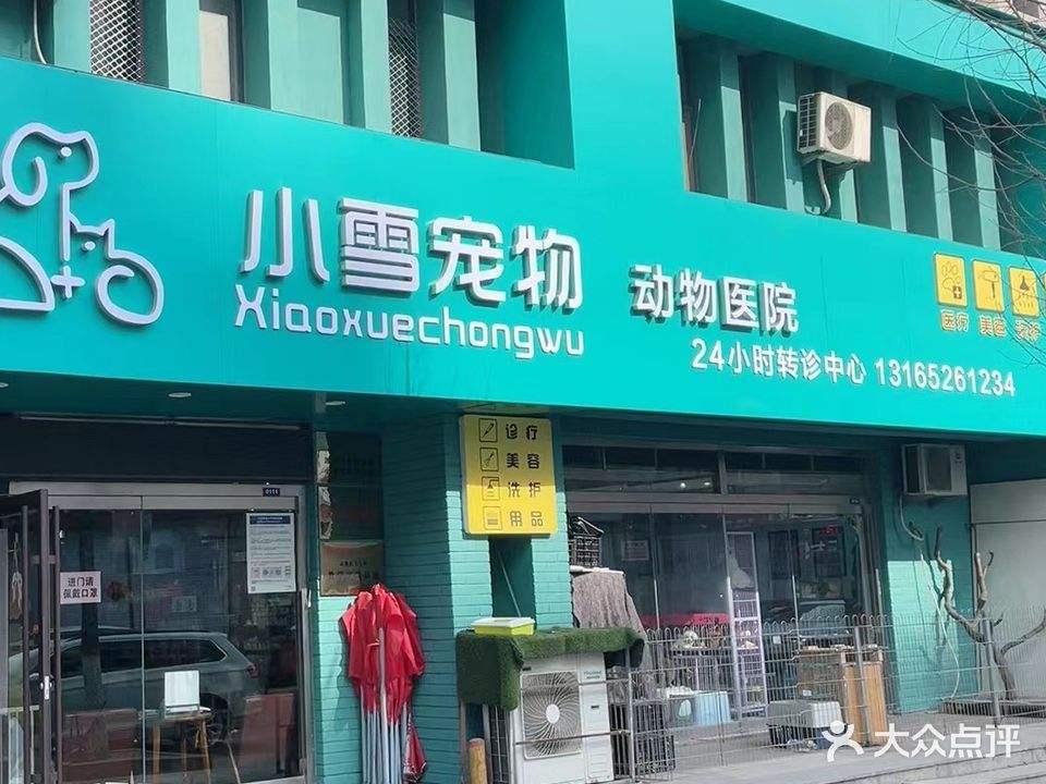 小雪宠物