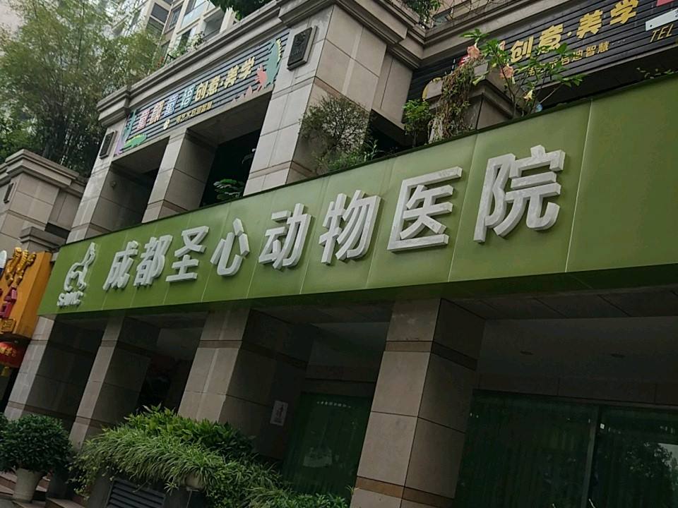 成都圣心动物医院