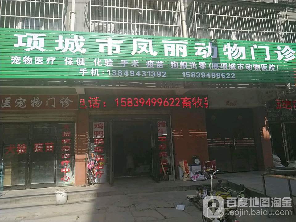 项城市凤丽动物门诊