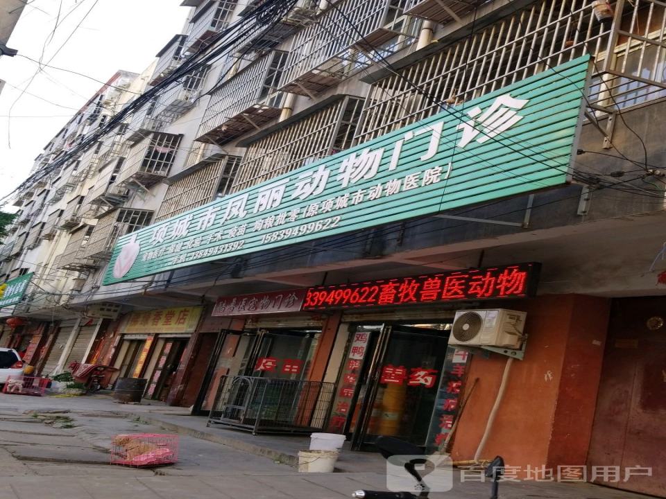 项城市凤丽动物门诊