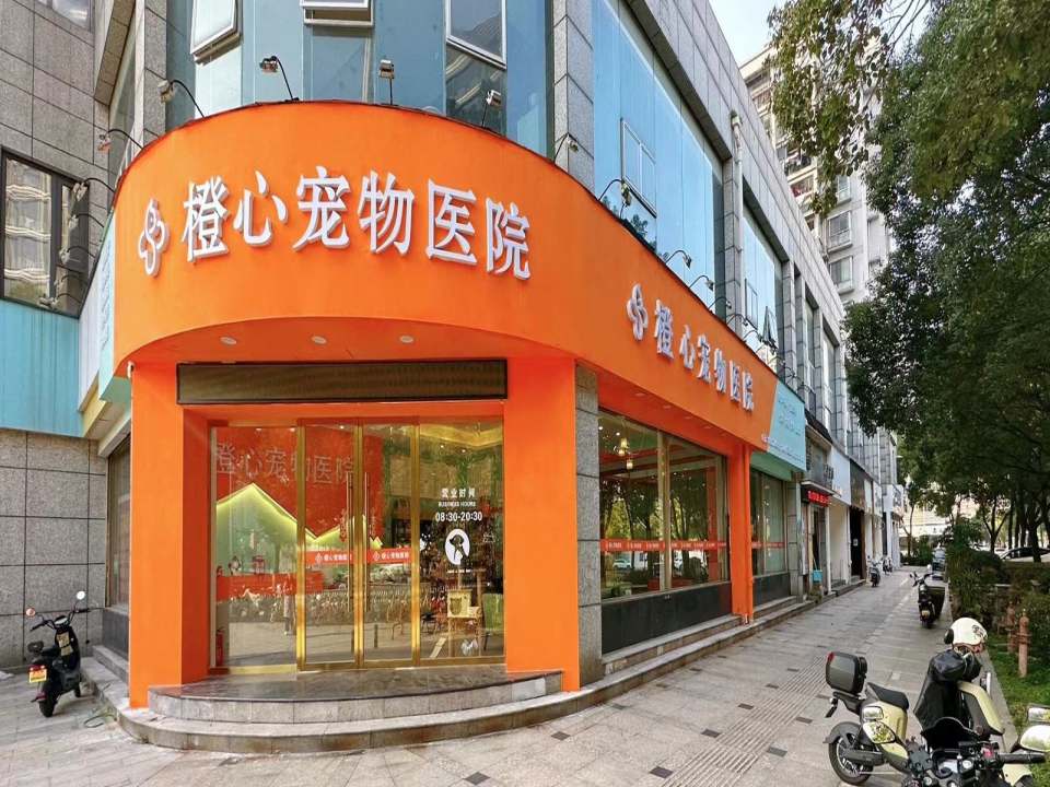 橙心宠物医院·猫专科·心脏·骨科·转诊中心