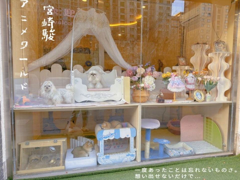 PETDOG派多格宠物诊所(塔北路店)
