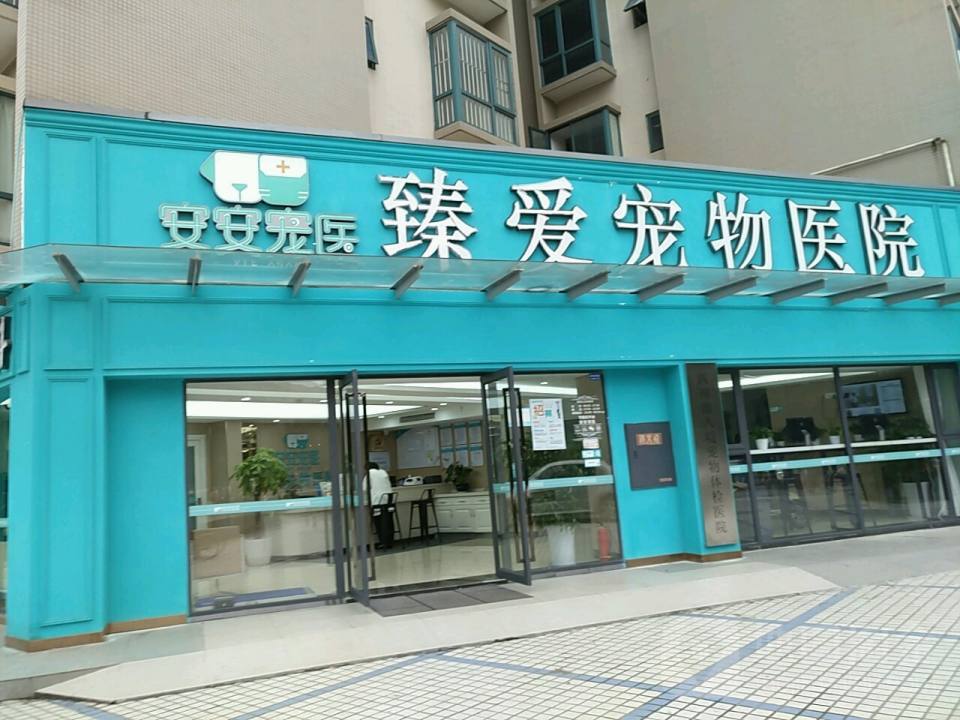 安安宠物医院(高升桥分院)