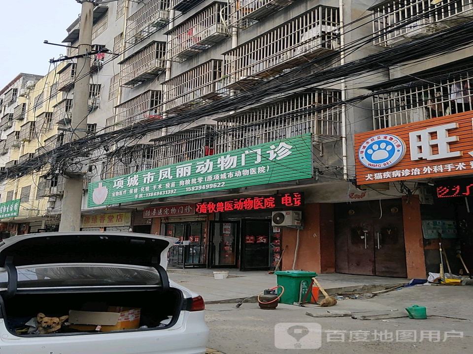 项城市凤丽动物门诊