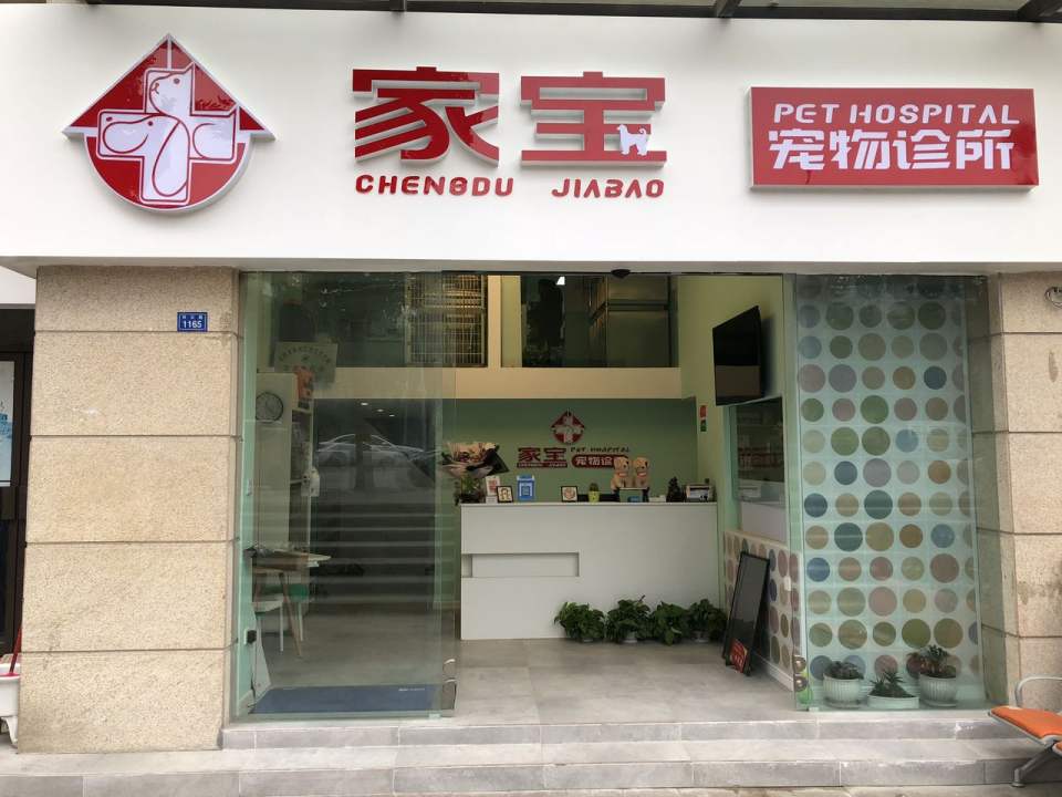 家宝动物医院·骨科·心脏·内窥镜
