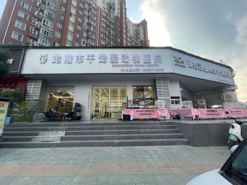 龙港市千宠爱动物医院·心脏·骨科·异宠