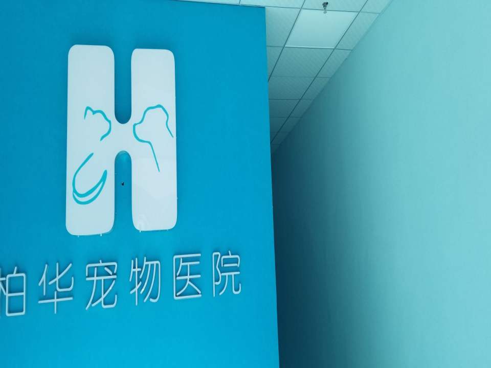 柏华宠物医院·犬猫内科·影像科