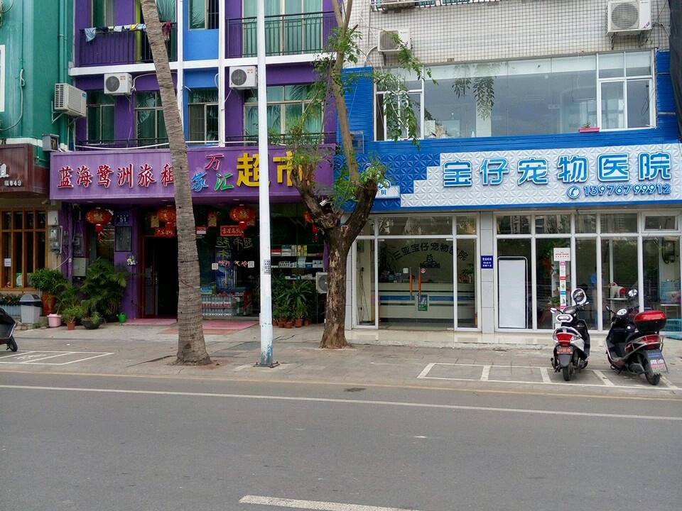 宝仔宠物医院