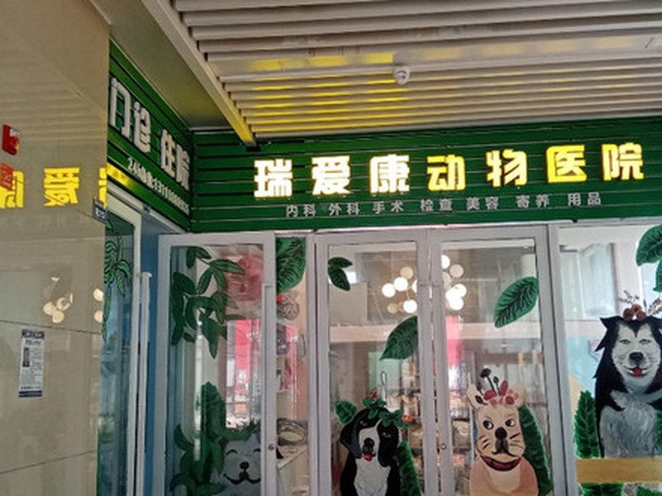 瑞爱康宠物医院24H·内窥镜绝育·异宠