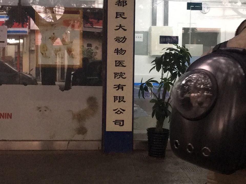 成都民大动物医院有限公司