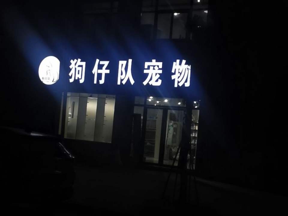 狗仔队宠物馆(大营路店)