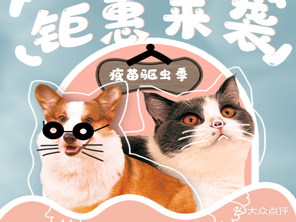 晋缘宠物医院