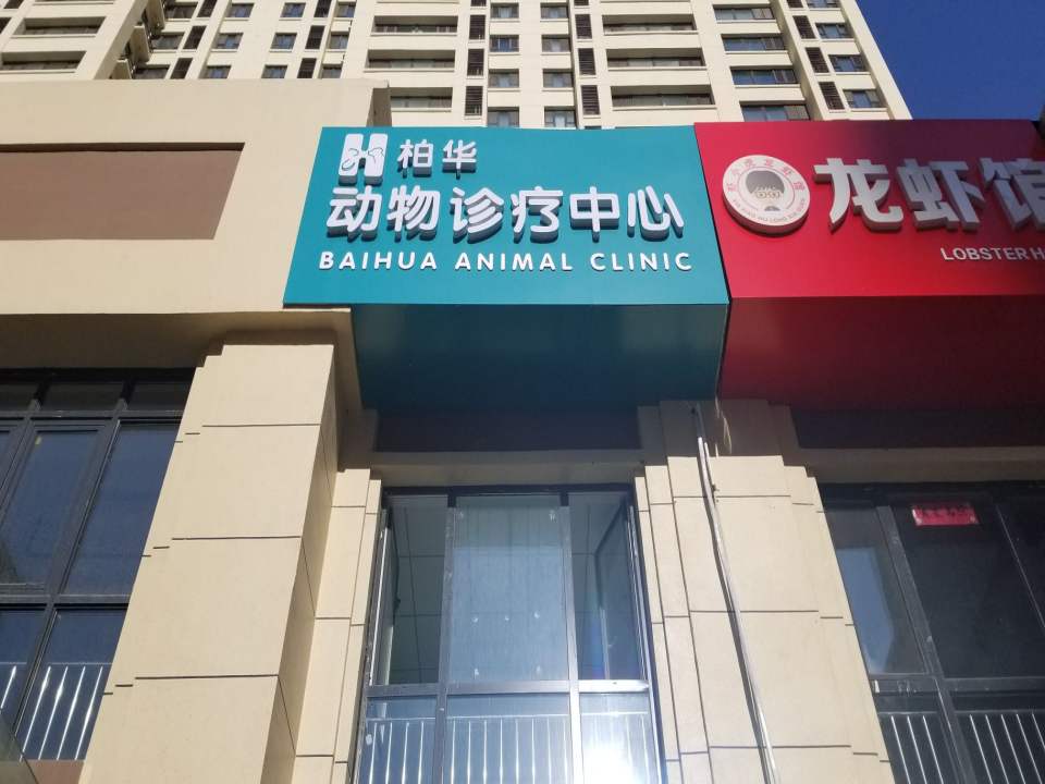 柏华宠物医院·犬猫内科·影像科