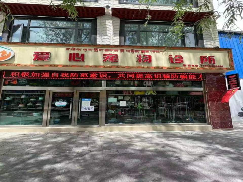 爱心宠物诊所(吉培路店)