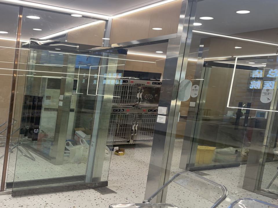 龙港市千宠爱动物医院·心脏·骨科·异宠