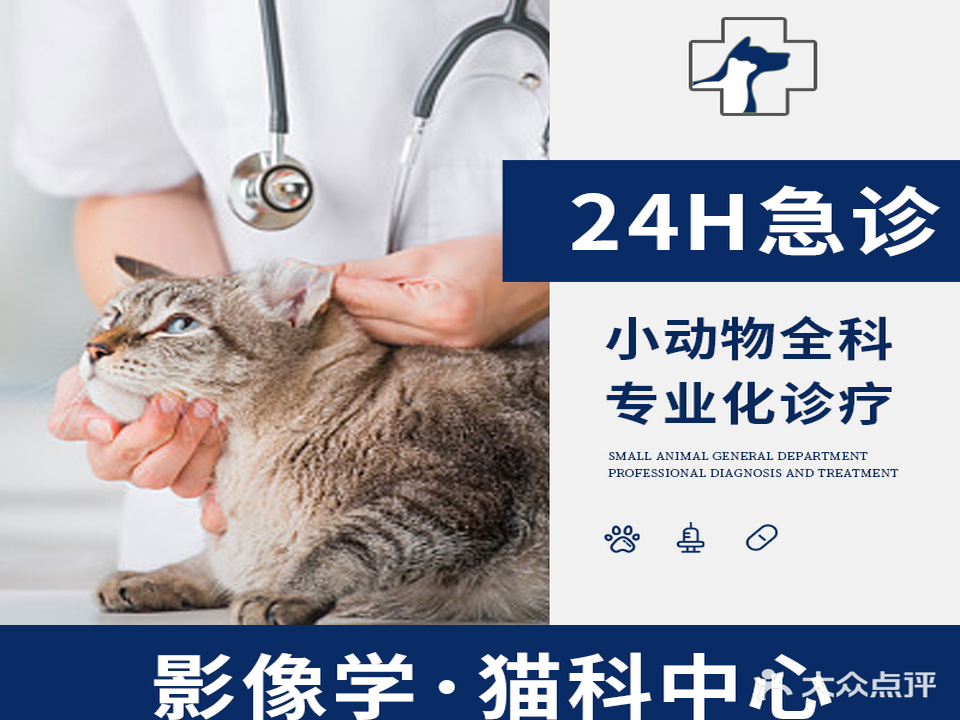 名冠动物医院·骨科·猫犬全科·夜诊(车陂院)