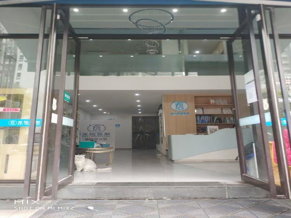 俞心宠物医院
